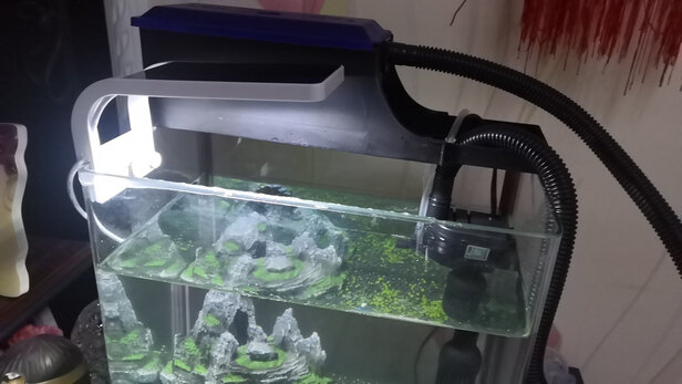 鱼缸水草灯
