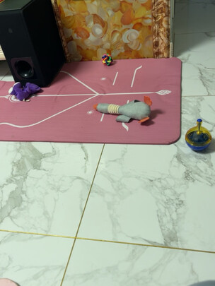 狗狗玩具