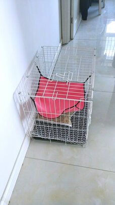  猫笼