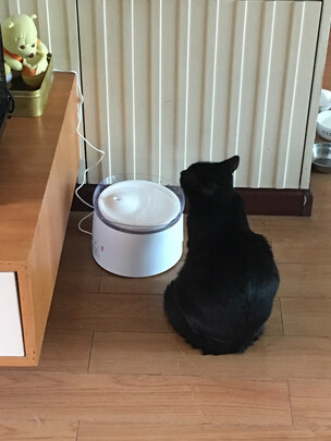 宠物饮水机