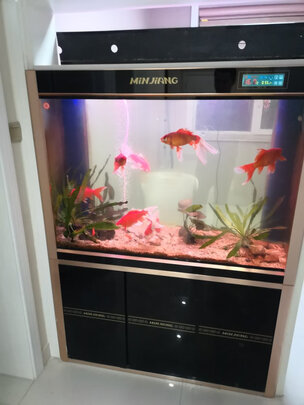鱼缸潜水泵