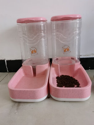 宠物自动喂食器