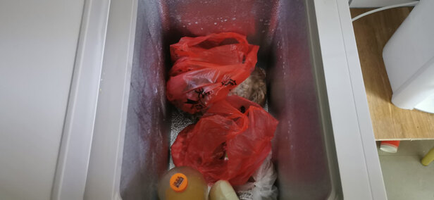 冰柜|客观评价容声BCD-210MSA冰柜怎么样？上手三周说真相