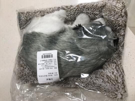 汽车竹炭包