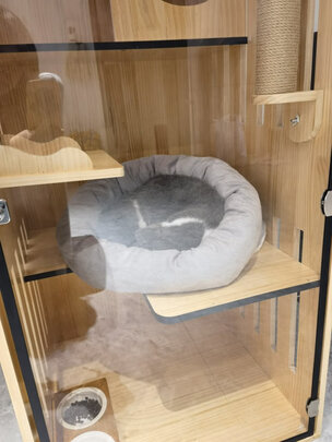 猫窝