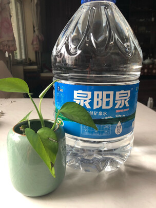 天然矿泉水