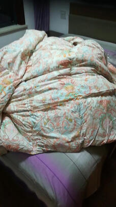 梦洁家纺甄暖95%白鹅绒厚被是哪里生产的，值吗