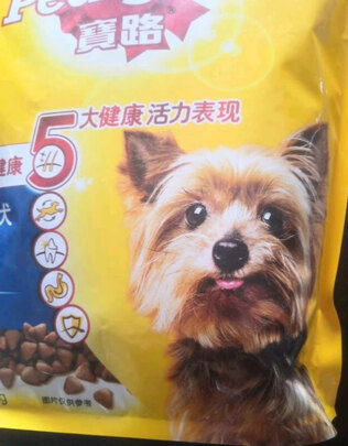 狗粮