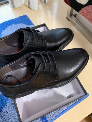 领路人圣火令鱼竿怎么样分析下不看后悔