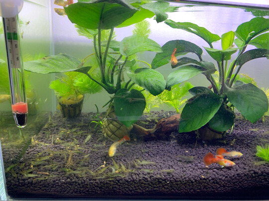 鱼缸过滤器