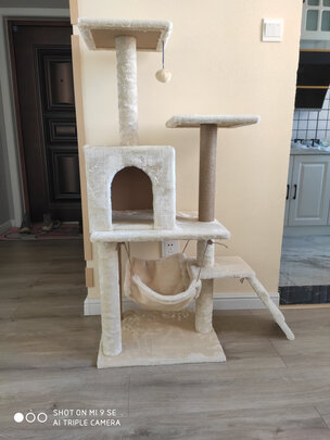 猫爬架