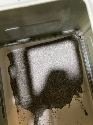 膨润土猫砂