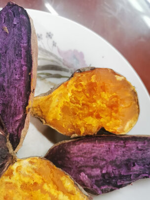 松下NN-DS59JBXPE蒸烤箱|知乎问答：松下NN-DS59JBXPE怎么样？用后三天讲真实感受