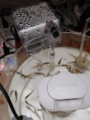 鱼缸过滤器