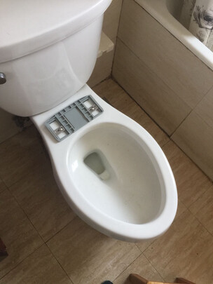 智能马桶盖|[用户爆料]飞利浦智能马桶盖和海尔哪个好？告诉大家真相内幕