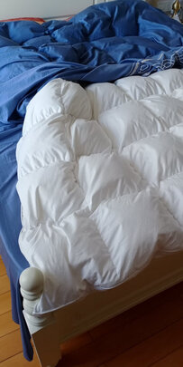 京东京造95西伯利亚进口鹅绒被 1.8m 1300g极度喜欢感受反馈