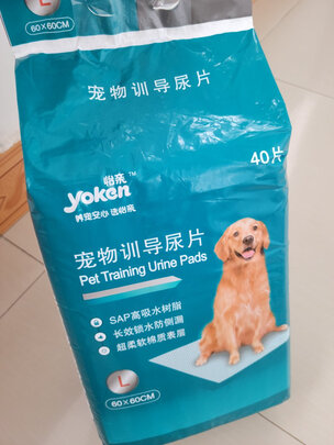 宠物纸尿裤
