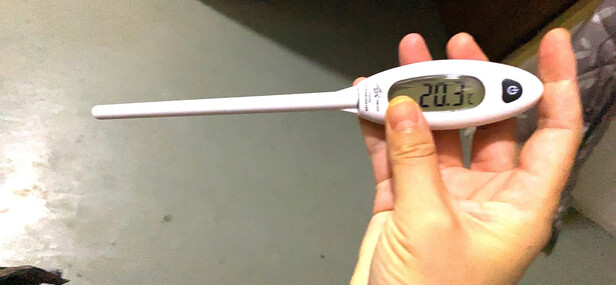 电子温度计