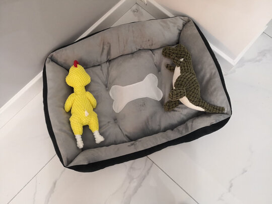 狗狗玩具