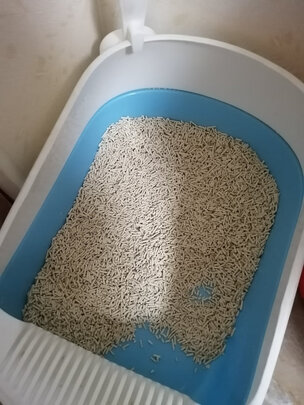 豆腐猫砂