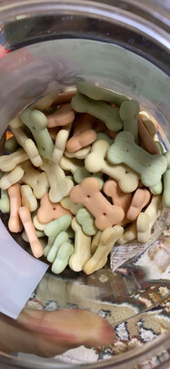 狗狗零食