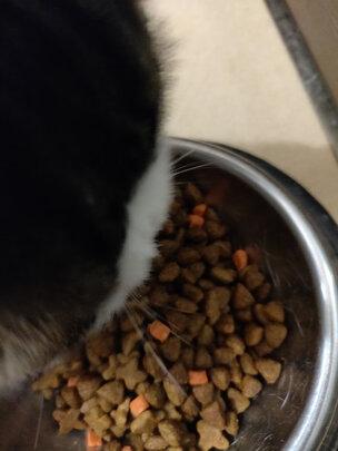 猫粮