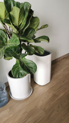 华为智选KJ400F-C400空气净化器怎么样?用后两周说优缺点