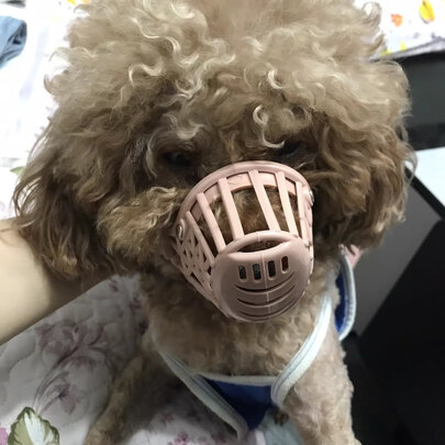 狗狗嘴套