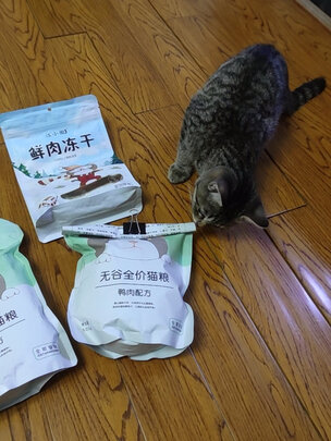 猫粮