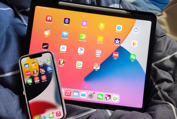 Apple12.9英寸|用户揭秘Apple12.9英寸 ipad Pro平板电脑好吗,入手解密评测真相