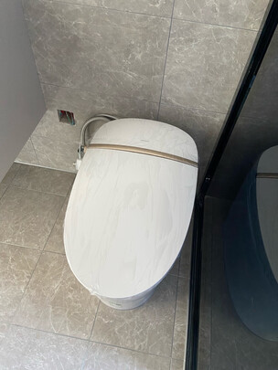 九牧九牧ZS520智能马桶|九牧九牧ZS520智能马桶独家揭秘评测真相,不看后悔!