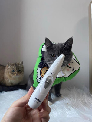 宠物电推剪