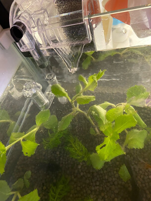 鱼缸水泵