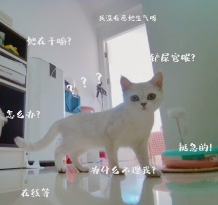 智能机器人