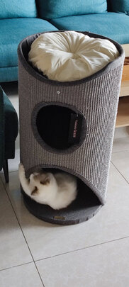 猫爬架