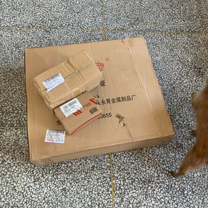  狗笼