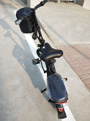 fiido飞道折叠电动车自行车成人代驾电车助力锂电池迷你轻便小型新