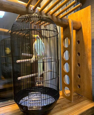 鸟笼