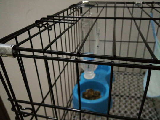 猫笼