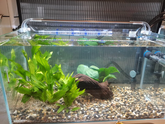 鱼缸灯led灯