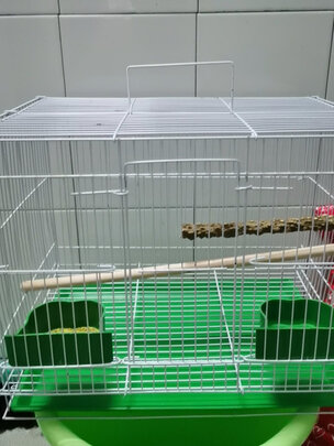 鸟笼