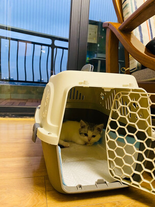猫包