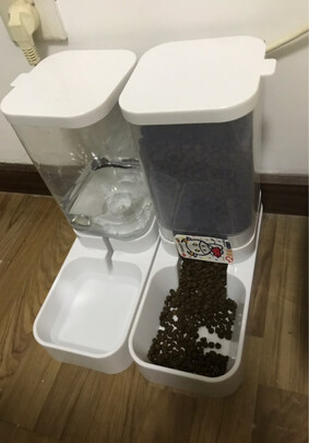宠物自动喂食器