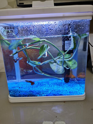 一:选购松宝鱼缸鱼缸水族箱建议