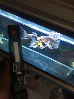 鱼缸加热棒