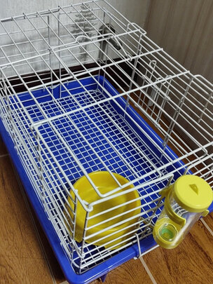 兔笼子