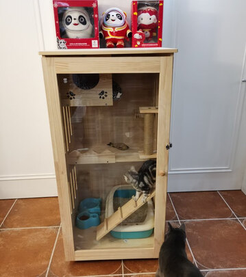  猫笼