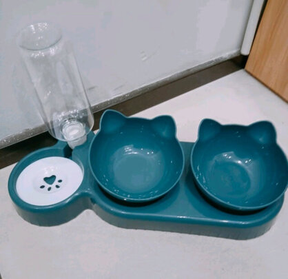 猫碗狗碗