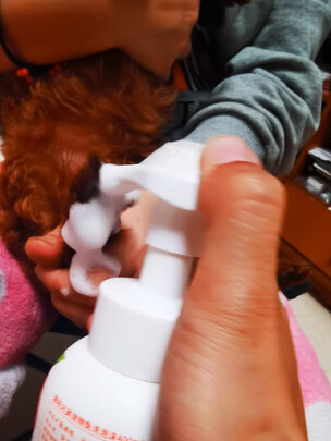 宠物免洗泡沫