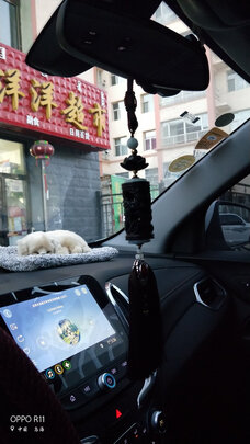 汽车挂件